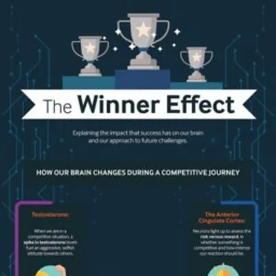 The Winner Effect - Digital PR campaign